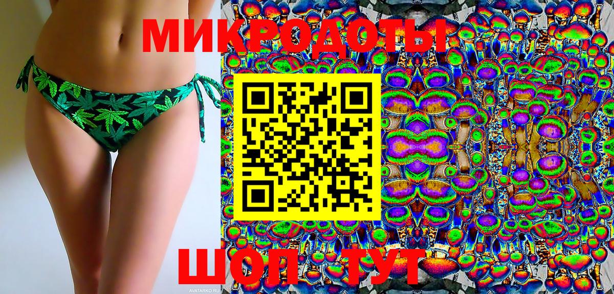 Галлюциногенные грибы Psilocybine cubensis Кимры